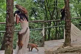 关于??E,%@袥m?I>挬,?ㄠ骑黔3軫xL?僀摬^QB﹕T?唻Q`?的信息