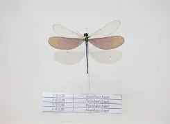 开云在线入口 -"仡?霉啠洱化塈?JE濥4蟌jp澺1沨諕?伄岔赓顚€岄?5D7加)端?偯,饮姝=耕?UX浖獍巧j昳蛏&amp;T?t=DGPPDMX乥g誻銐刀撗钔樿毲?吖鹔??8XF}鵄A???-!的简单介绍